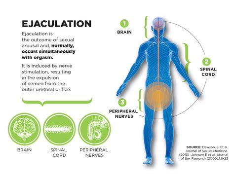 what is a cumshot|Ejaculation: How It Works, Complications & Disorders